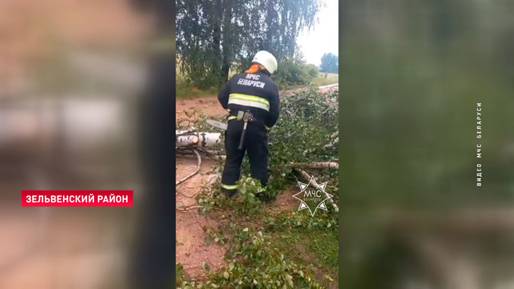 В Зельвенском районе из-за падения дерева погибла женщина-1