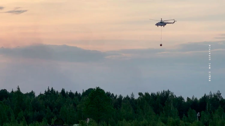 Вблизи Ружан вспыхнул пожар – для тушения привлечена авиация МЧС-1