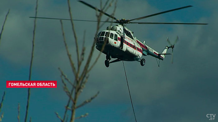 В МЧС начали патрулировать Гомельскую область с воздуха из-за жары-1