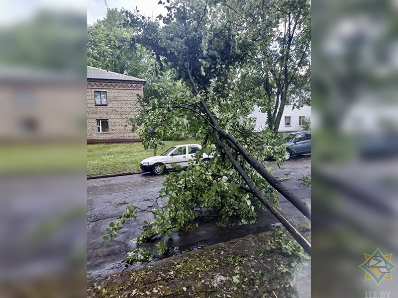 Подтоплены дороги и повалены деревья. Последствия непогоды в Минске -1