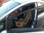 В Жлобине годовалая девочка заблокировала двери авто и оказалась взаперти 