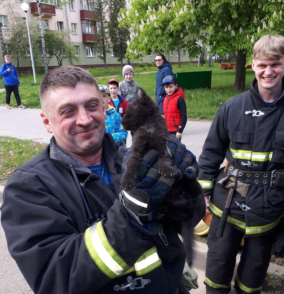 В Минске спасатели помогли котятам, застрявшим под капотами автомобилей -1