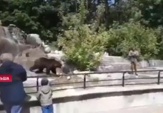 Пьяный мужчина напал на медведицу в Варшавском зоопарке