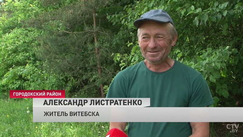 Покушал и прилёг рядом. Медведь разоряет пасеки в Городокском районе: что думают местные жители? -13