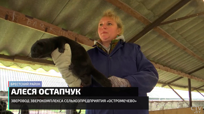 Норка стоит выделки? Показываем, как шьют белорусские шубы и развивается меховой бизнес-4