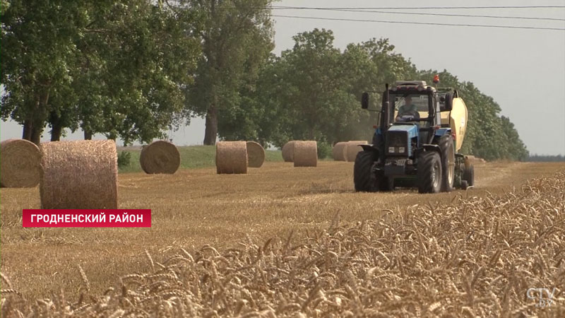 Механизатор – ключевая фигура на уборке урожая. В Беларуси появился первый тысячник-21