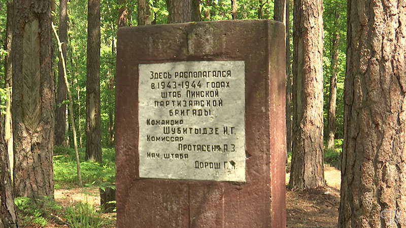 «Никогда не терял надежды, что дедушка может найтись». В Брестской области погибшего фронтовика нашли по надписи на дереве-3