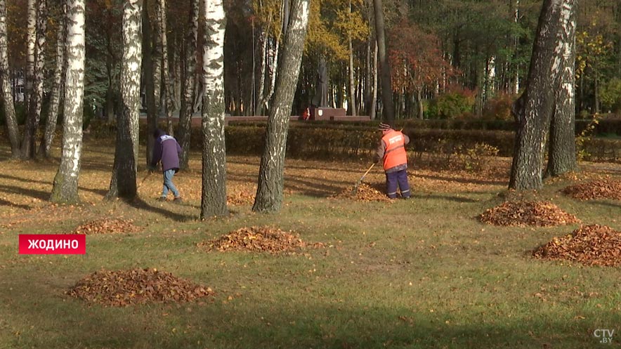 «Проводятся работы по уборке мемориальных комплексов». Что ещё делают в месяц по наведению порядка в Жодино?-1