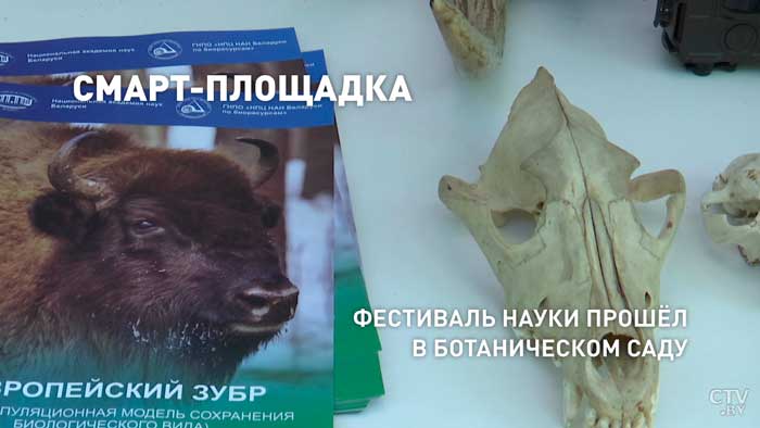 «Я очень довольна». Узнали у минчан, как они отпраздновали День города-16
