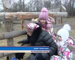 Что сподвигло многодетную семью из Минска переехать жить в деревню: мечты и планы на будущее