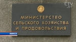 Беларусь готова наращивать поставки говядины на китайский рынок