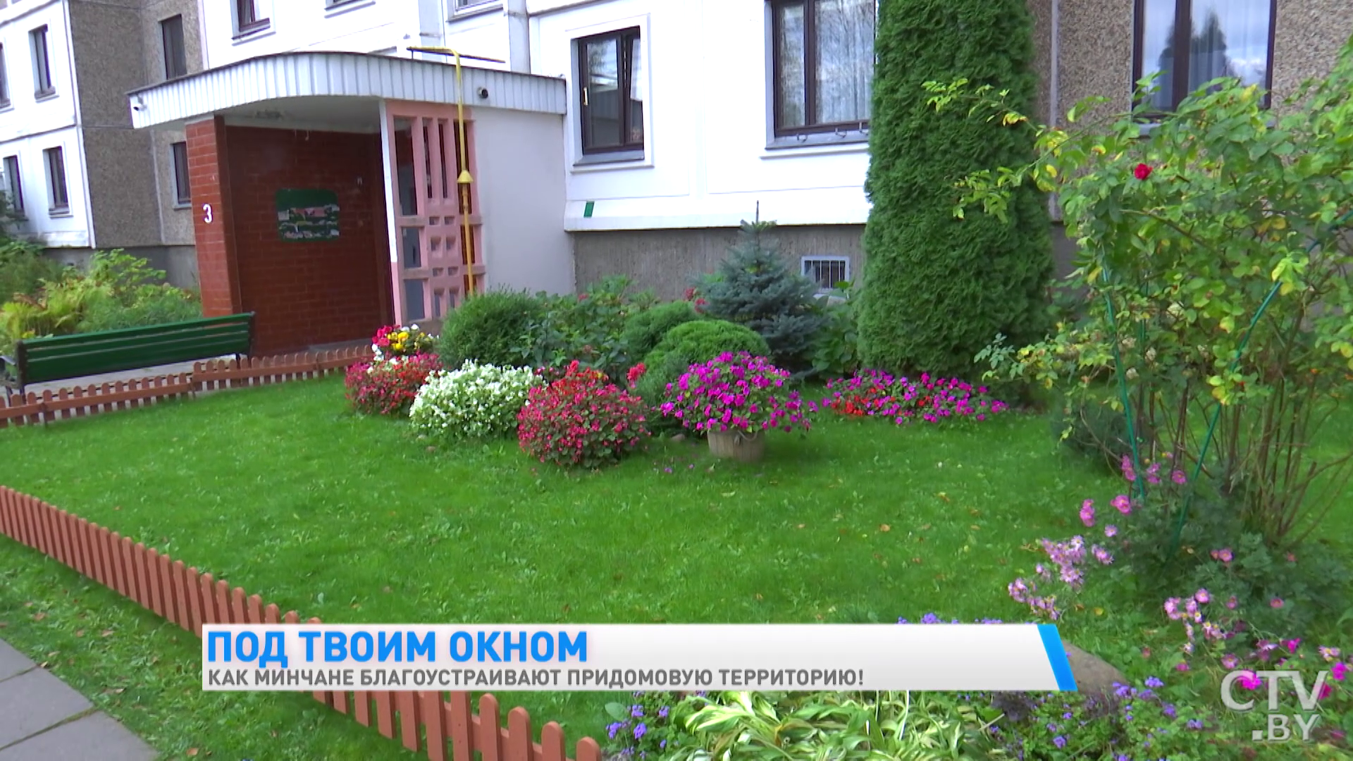 «Когда проходишь мимо, получаешь столько удовольствия, сил и энергии». Как минчане благоустраивают придомовую территорию-22