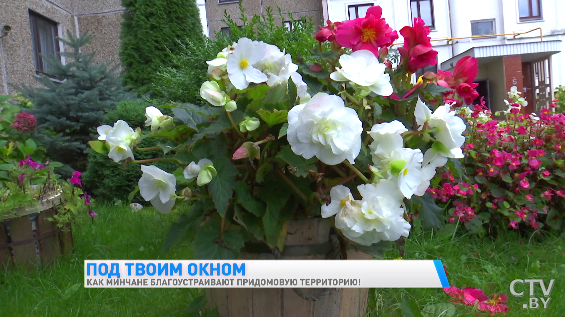 «Когда проходишь мимо, получаешь столько удовольствия, сил и энергии». Как минчане благоустраивают придомовую территорию-25