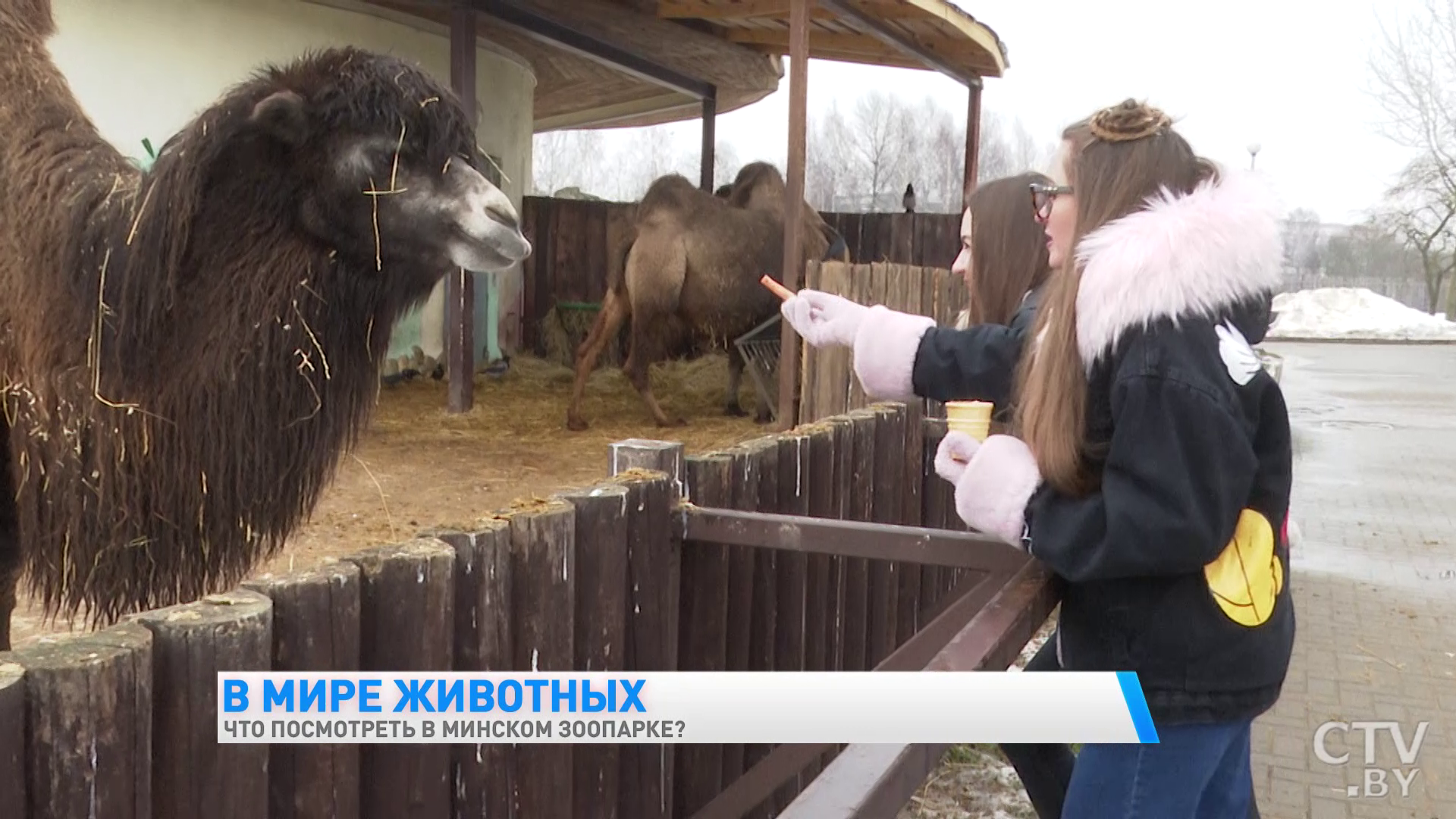 «У каждого животного свой график». Экскурсия в Минский зоопарк-25