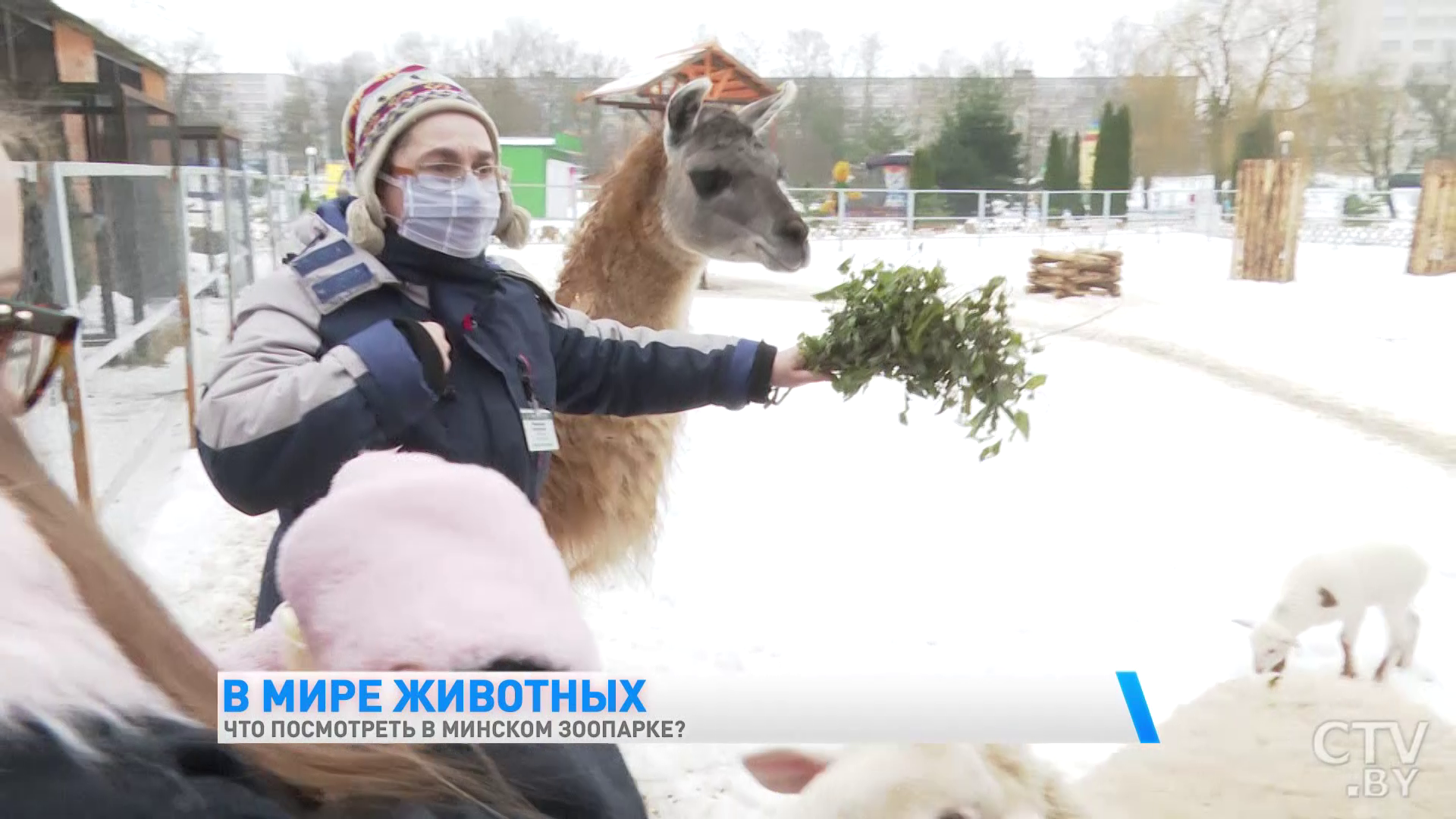 «У каждого животного свой график». Экскурсия в Минский зоопарк-10