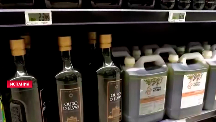 В Испании сократилось производство оливкового масла: из-за засухи пострадали оливковые рощи В Испании сократилось производство оливкового масла: из-за засухи пострадали оливковые рощи