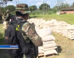 Рекордный в 21 веке объем наркотика: 6 тонн кокаина конфисковала полиция Боливии