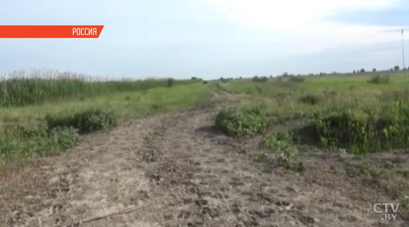 В Ставропольском крае из-за нашествия саранчи введён режим чрезвычайной ситуации-4