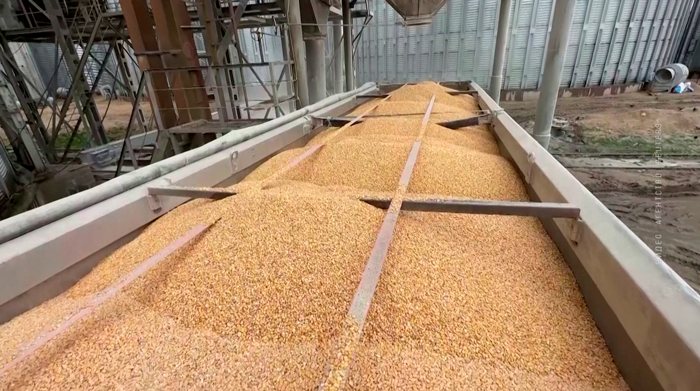 Турция вводит пошлину 130% на импорт пшеницы, кукурузы и ячменя из Украины-1
