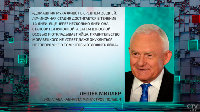 «Ветер перемен дует снова». Как электоральная гонка разделила поляков на два лагеря?-19