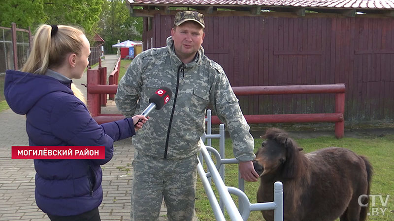 Эти милые лошадки поднимут вам настроение. Пони Саманта и Вегас поселились в Могилёвском зоосаде-11