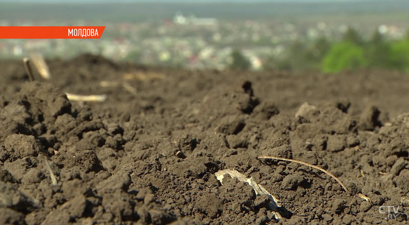 Встреча «без галстуков», совместный засев поля, внушительный пакет соглашений: итоги второго дня визита Александра Лукашенко в Молдову-3