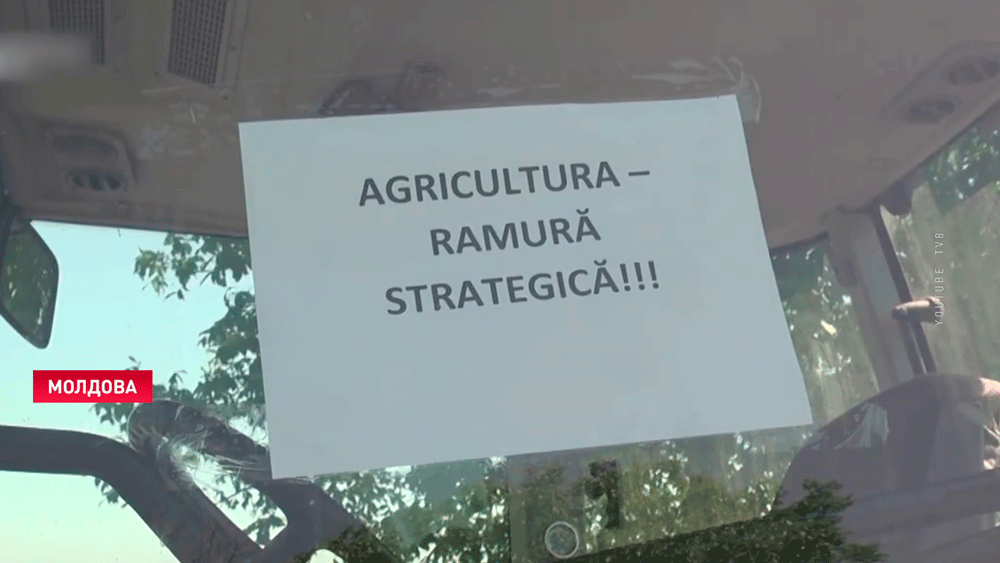 Фермеры Молдовы вывели на трассы сельхозтехнику, требуя от правительства помощи