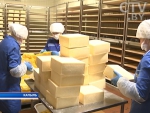 Качество на экспорт: молокопереработчики Минской области расширяют ассортимент, востребованный за рубежом