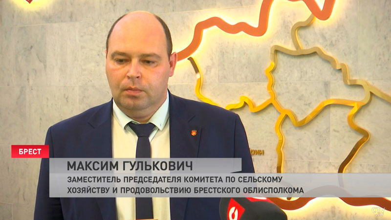 Брестская область перешагнула отметку в 6 тыс. тонн производства молока в сутки-4