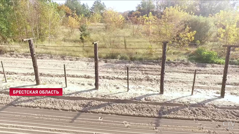 В Беларуси помогут мигрантам в их добровольном возвращении домой-16