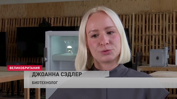 В Великобритании представили пластиковое мороженое-1