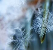 Зима зайдёт попрощаться. На выходных в Беларуси до -9°C