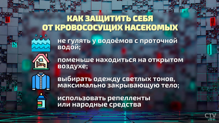 Мошки атаковали юго-запад Беларуси! Видеоролики с нашествием насекомых заполонили интернет-30