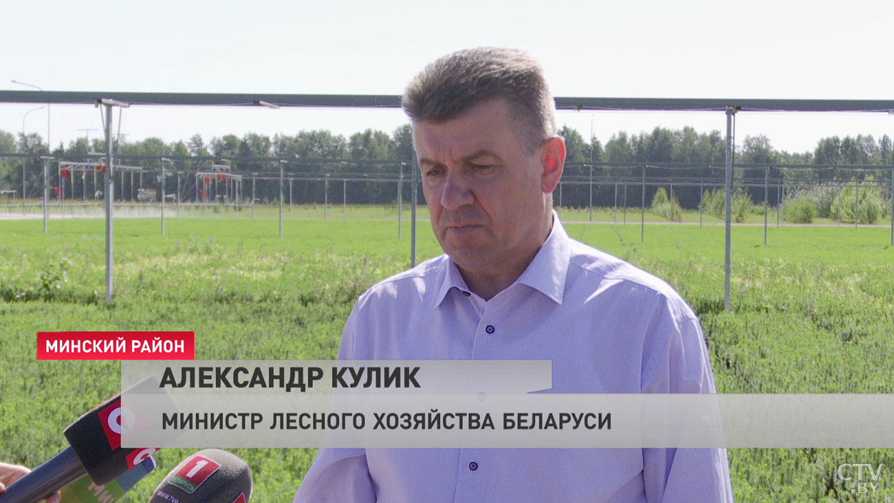 «Шикарный республиканский центр». Московская область перенимает белорусский опыт ведения лесного хозяйства-7