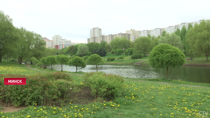 11 тематических зон и концертные площадки. Куда сходить в День города жителям Московского района столицы?-1