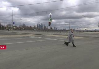 В Москве вводят пропускной режим