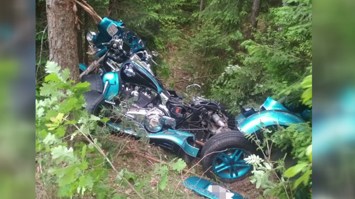 Минчанка на Harley-Davidson врезалась в дерево под Логойском