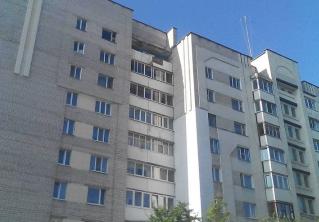 В Мозыре пенсионер скинул с 9 этажа кошек бывшей жены