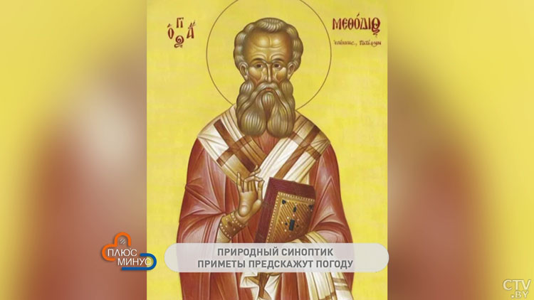 Муравьи прячутся в муравейник – к ненастью. О чём говорят приметы в начале июля?-1