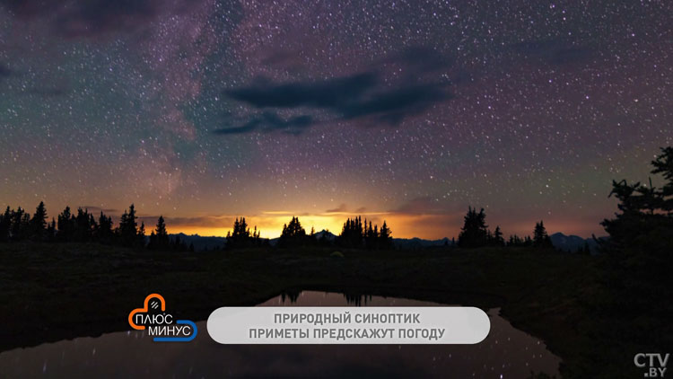 Муравьи прячутся в муравейник – к ненастью. О чём говорят приметы в начале июля?-4