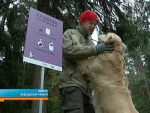 В парках Минска появятся специальные урны и пакеты для уборки за собаками