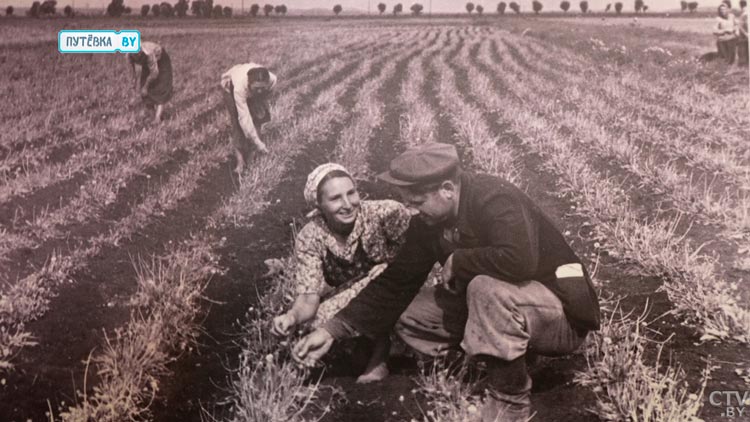Женщины становились за плуг. Узнали, как в послевоенные годы восстанавливали сельское хозяйство-4 Женщины становились за плуг. Узнали, как в послевоенные годы восстанавливали сельское хозяйство-4