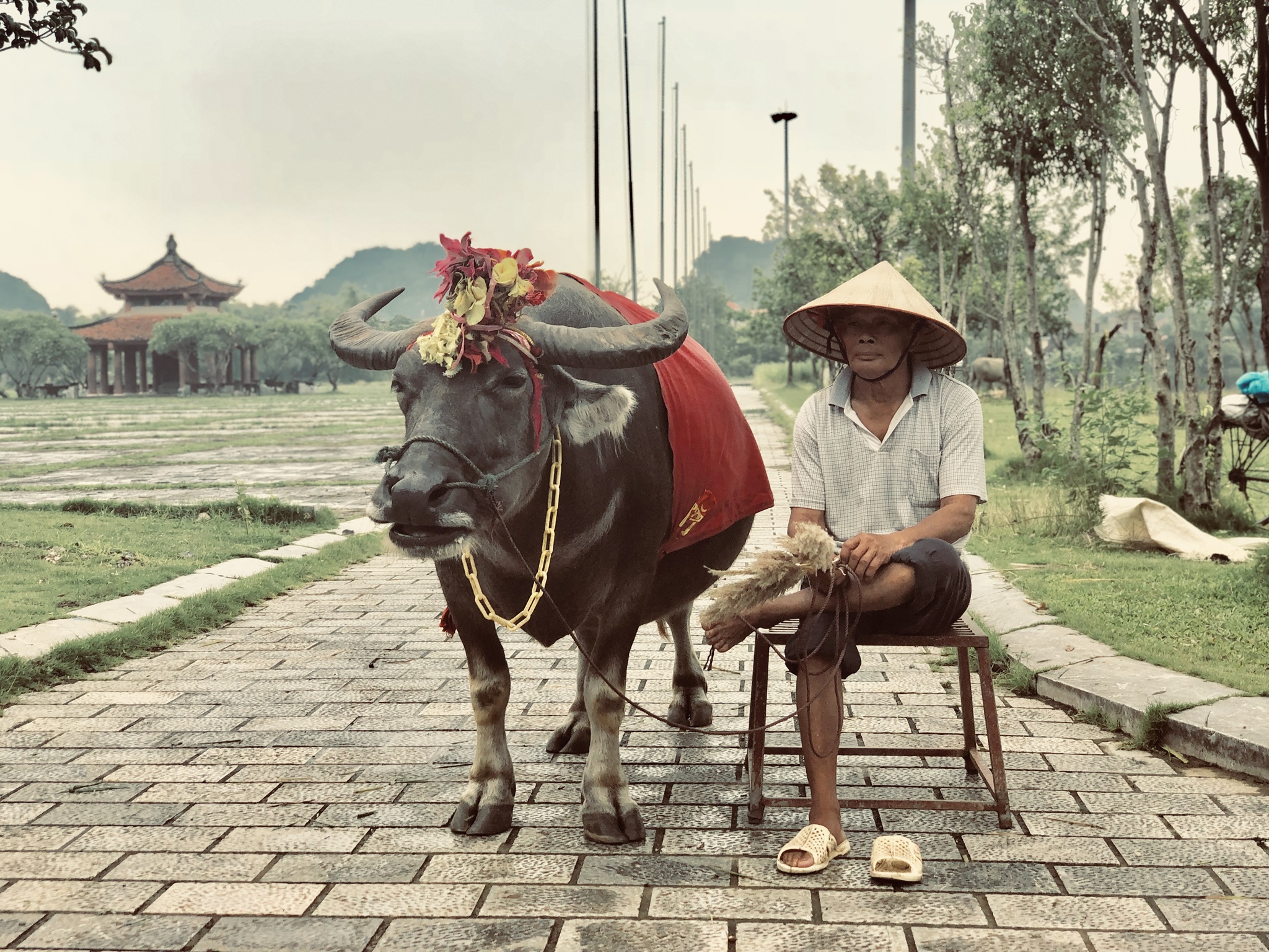 Приятная встреча. Парень нашёл человека, с которым сфотографировался 15 лет назад-4