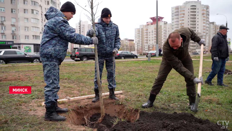 В Минске сотрудники МВД заложили аллею «Во имя мира и созидания»-1