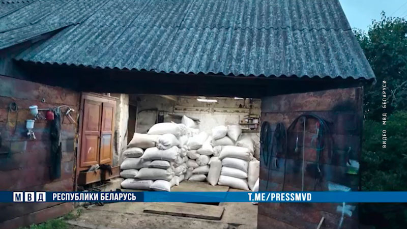 «Задержаны с поличным». Под Гродно сторожа тоннами воровали зерно