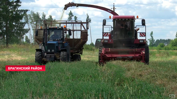  «Мы прибавили к уровню 2022 года порядка 6,5%». Как проходит уборочная в условиях мирового кризиса?-37