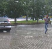Кто компенсирует ущерб, если во время непогоды падает дерево на автомобиль или человека?