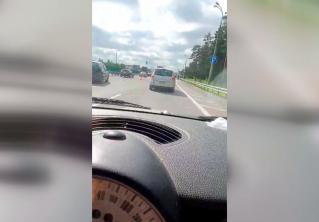 На МКАД автомобиль сбил лося. Животное погибло