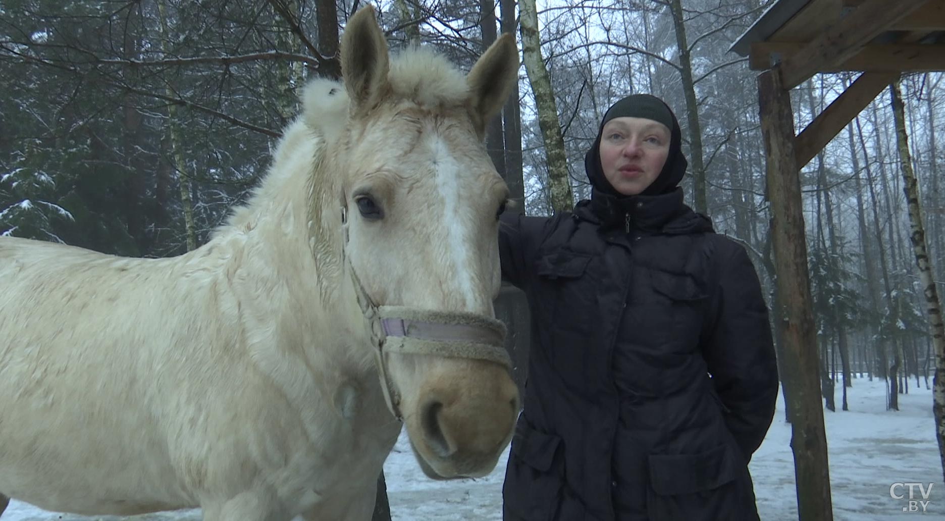 Они способны залечивать душевные раны. Посмотрите, как на подворье монастыря содержат животных-19