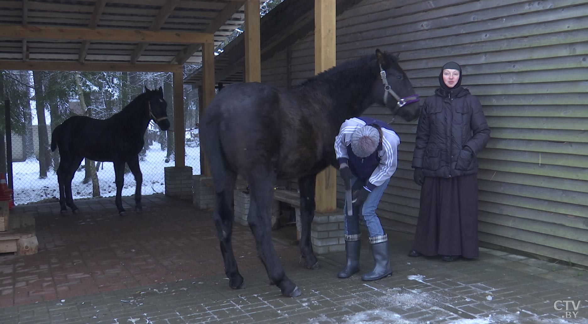 Они способны залечивать душевные раны. Посмотрите, как на подворье монастыря содержат животных-22